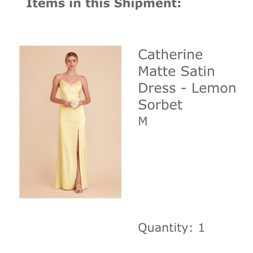 Birdy Gray Catherine dress - Picture 7 of 7